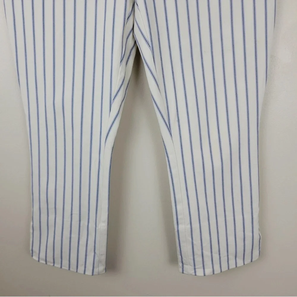 Anthropologie- Striped Pants- Size 8 - Picture 4 of 9
